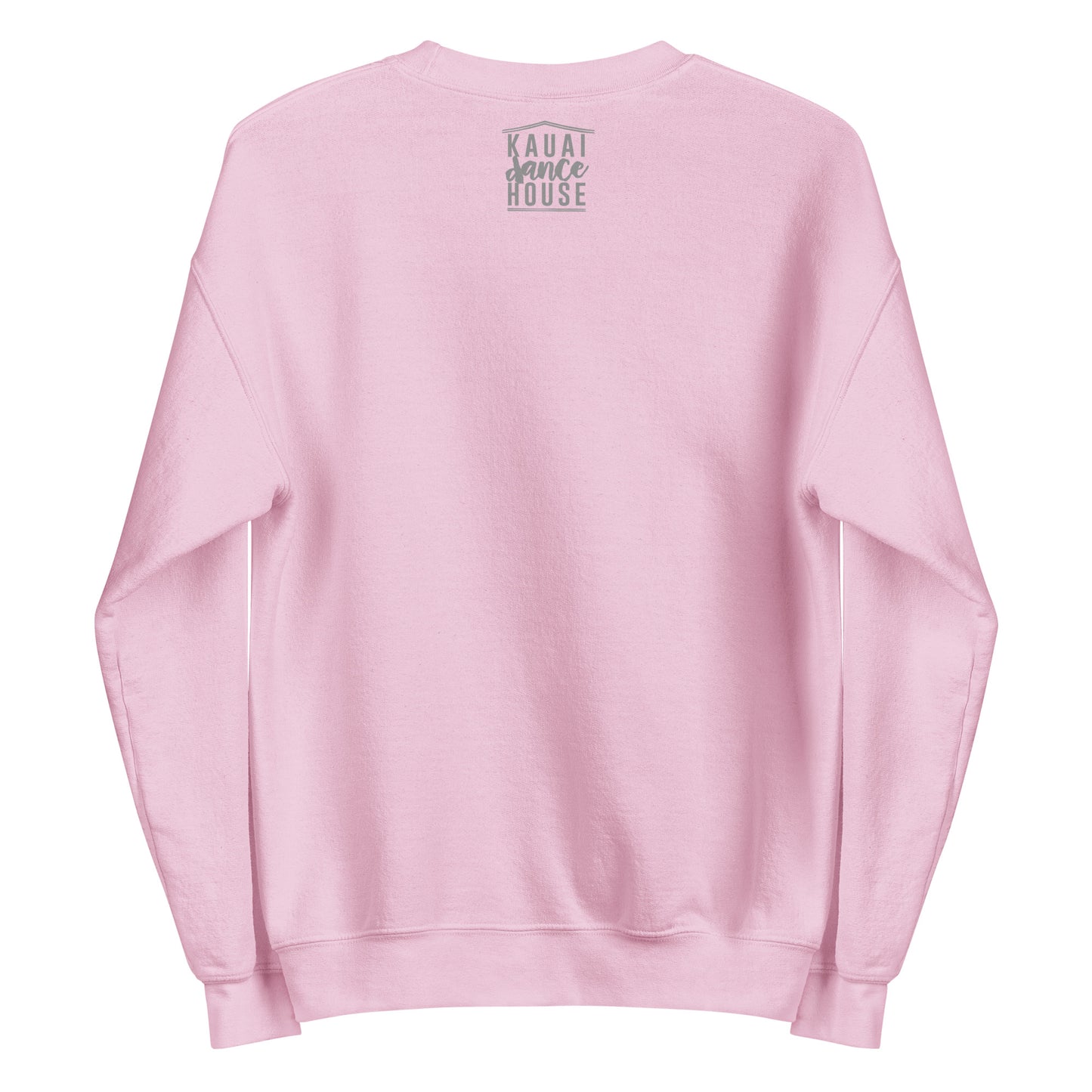 Dance Lessons Adult Unisex Sweatshirt